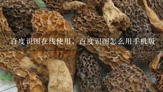 百度识图在线使用，百度识图怎么用手机版