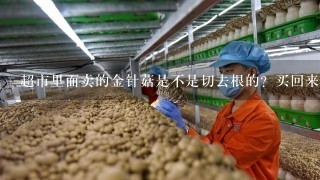 超市里面卖的金针菇是不是切去根的？买回来后，还不要不要在切根？