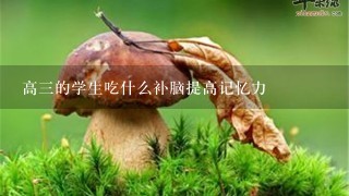 高3的学生吃什么补脑提高记忆力