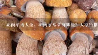 湖南菜谱大全，湖南家常菜有哪些？大家给推荐下