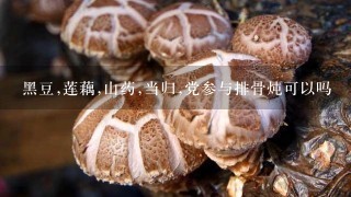 黑豆,莲藕,山药,当归,党参与排骨炖可以吗