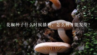 花椒种子什么时候播种，怎么种才能发芽？