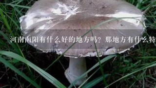 河南南阳有什么好的地方吗？那地方有什么特色的东西吗？