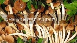 食用菌液体菌种制作的具体操作？