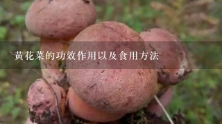 黄花菜的功效作用以及食用方法