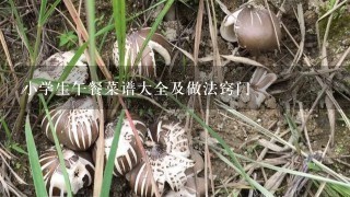 小学生午餐菜谱大全及做法窍门