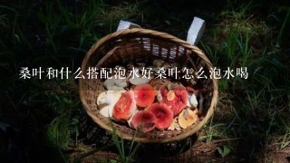 桑叶和什么搭配泡水好桑叶怎么泡水喝