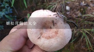 姬松茸做法大全