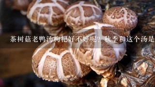 茶树菇老鸭汤枸杞好不好呢？秋季和这个汤是否合适呢？可以给家里的老人小孩喝吗？