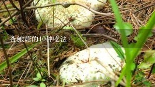 杏鲍菇的10种吃法？