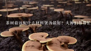 茶树菇该配什么材料煲汤最好？大神们帮帮忙