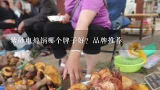 紫砂电炖锅哪个牌子好？品牌推荐