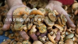 山西老陈醋的特点有哪些