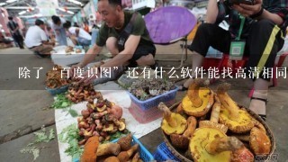 除了“百度识图”还有什么软件能找高清相同类似图？