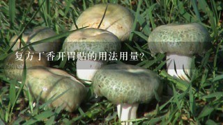 复方丁香开胃贴的用法用量?