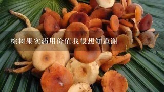 棕树果实药用价值我很想知道谢