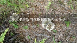 2011年天水秦安的花椒收购价格是多少