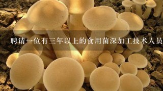 聘请1位有3年以上的食用菌深加工技术人员