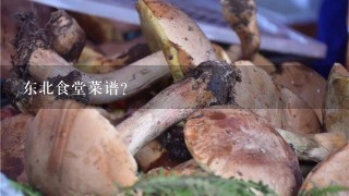 东北食堂菜谱？