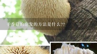 干香菇的泡发的方法是什么??