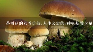 茶树菇的营养价值,人体必需的8种氨基酸含量齐全