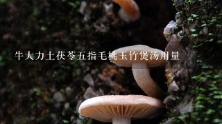 牛大力土茯苓5指毛桃玉竹煲汤用量