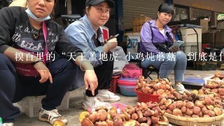 糗百里的“天王盖地虎 小鸡炖蘑菇”到底是什么意思