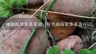 谁能提供湘菜菜谱，特色湖南家常菜也可以。