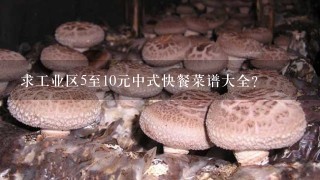 求工业区5至10元中式快餐菜谱大全？