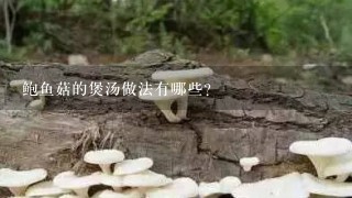 鲍鱼菇的煲汤做法有哪些？