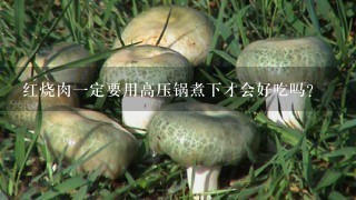 红烧肉1定要用高压锅煮下才会好吃吗？