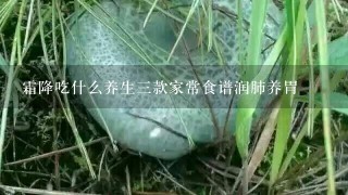 霜降吃什么养生3款家常食谱润肺养胃