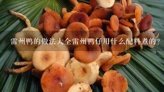 雷州鸭的做法大全雷州鸭仔用什么配料煮的？