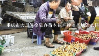 重庆市大足区徐显容苗木花卉种植基地怎么样？