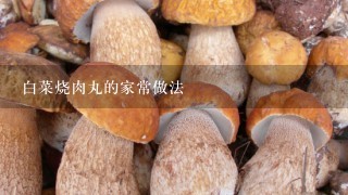 白菜烧肉丸的家常做法