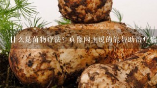 什么是菌物疗法？真像网上说的能帮助治疗癌症吗？