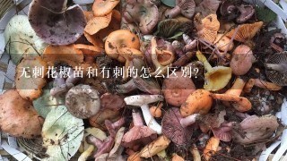 无刺花椒苗和有刺的怎么区别？