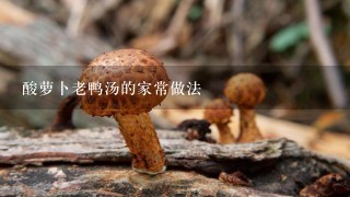 酸萝卜老鸭汤的家常做法