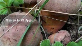 茶树菇炖鸡的做法