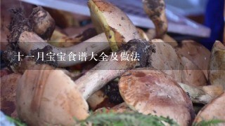 十1月宝宝食谱大全及做法