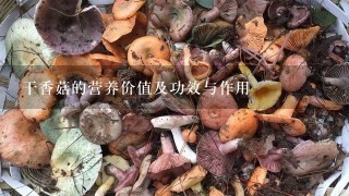 干香菇的营养价值及功效与作用