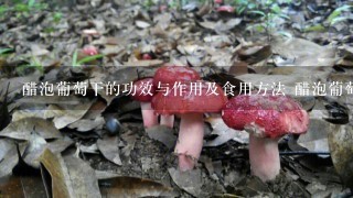 醋泡葡萄干的功效与作用及食用方法 醋泡葡萄干真能