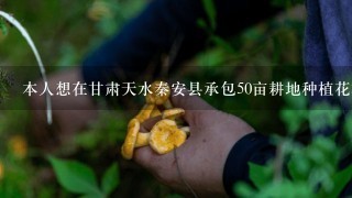 本人想在甘肃天水秦安县承包50亩耕地种植花椒怎么样