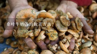 桑叶牛奶汤的做菜方法？