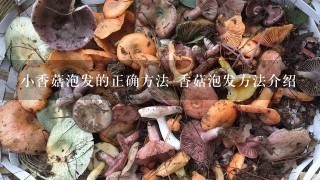 小香菇泡发的正确方法 香菇泡发方法介绍