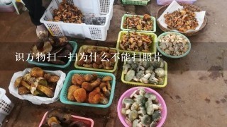 识万物扫1扫为什么不能扫照片