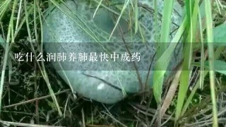 吃什么润肺养肺最快中成药