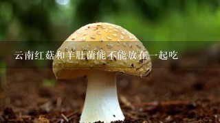 云南红菇和羊肚菌能不能放在1起吃