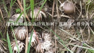 莲藕绿豆排骨汤功效如何？莲藕绿豆排骨汤主要是补什么的，有什么功效呢？