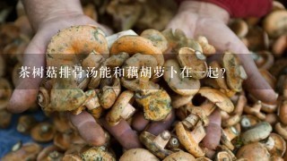 茶树菇排骨汤能和藕胡萝卜在1起？